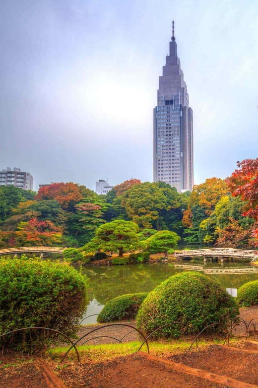 Tokyo Revealed: Premier Private Car Tour