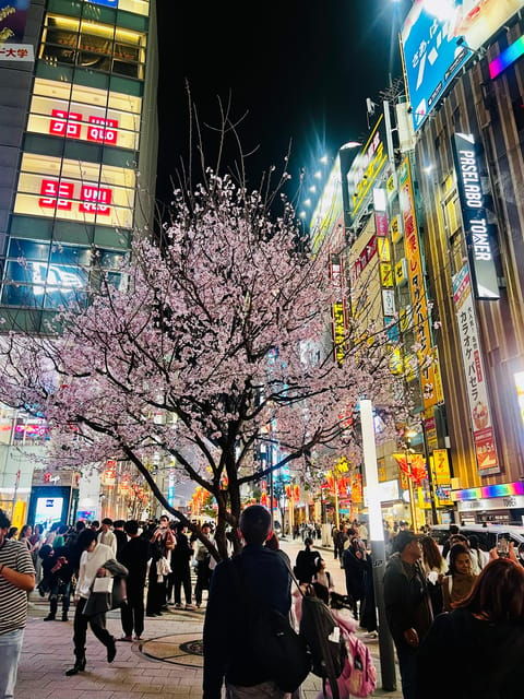 Tokyo: Shinjuku Kabukicho & Golden Gai Walking Tour - Omoide Yokocho Experience
