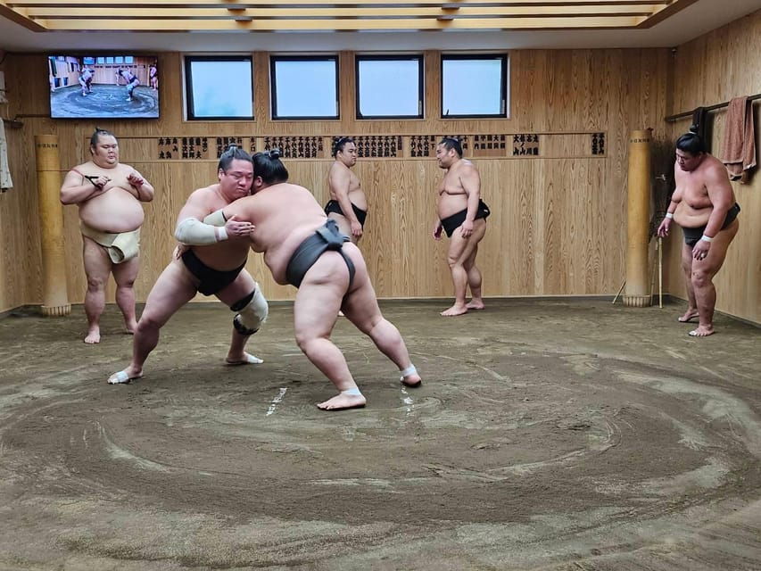 Tokyo Sumo Morning Practice Tour With Private Car Transfer - Tour Overview