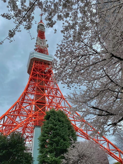 Tokyo Tour (Must Seeing Places in Tokyo) - Tour Overview and Pricing