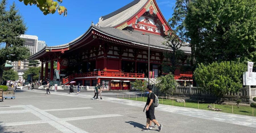 Tokyo Tour One Day Private Tour by Car With English Driver