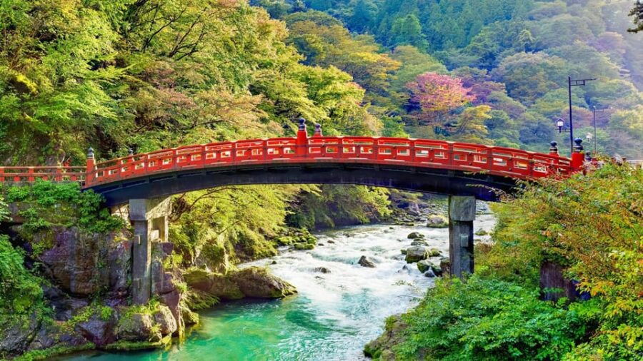 Tokyo:Nikko Private Sightseeing Tour English Speaking Driver
