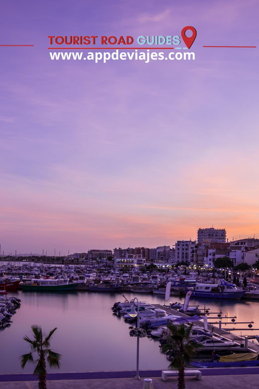 Tour: Mussels, Rice Plantation & Paella