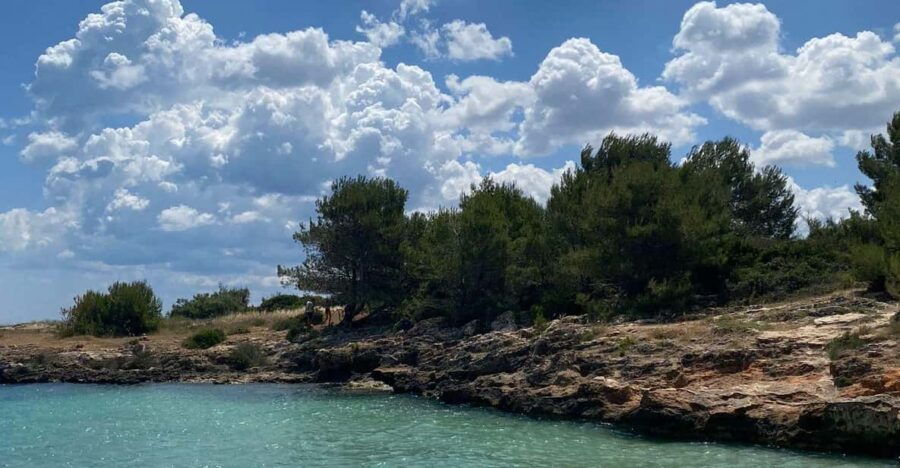 Tour of the Beaches of Monopoli and Polignano a Mare