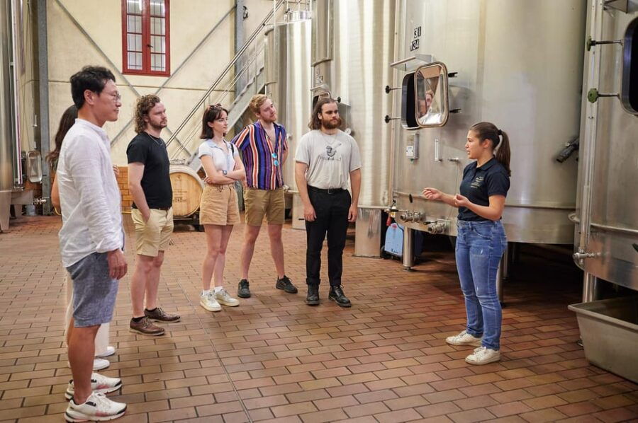 Tour of the Winery and Tasting of 3 Appellations - Tour Overview