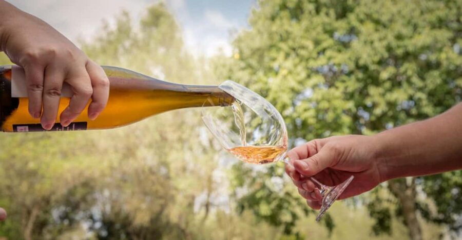 TRADITIONAL MARKET, WINERIES AND TASTINGS TOUR