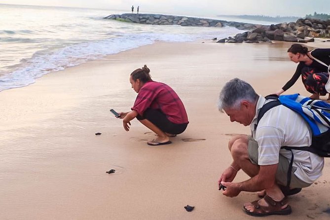 Transfer Between Colombo Airport (Cmb) and Full Moon Garden Hotel, Katunayake - Transfer Details