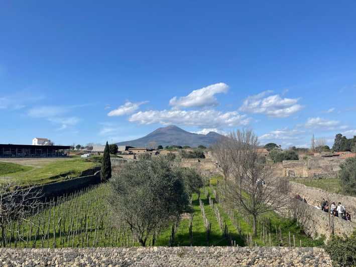 Transfer Naples/Salerno Apt – Hotel With Stop in Pompei.