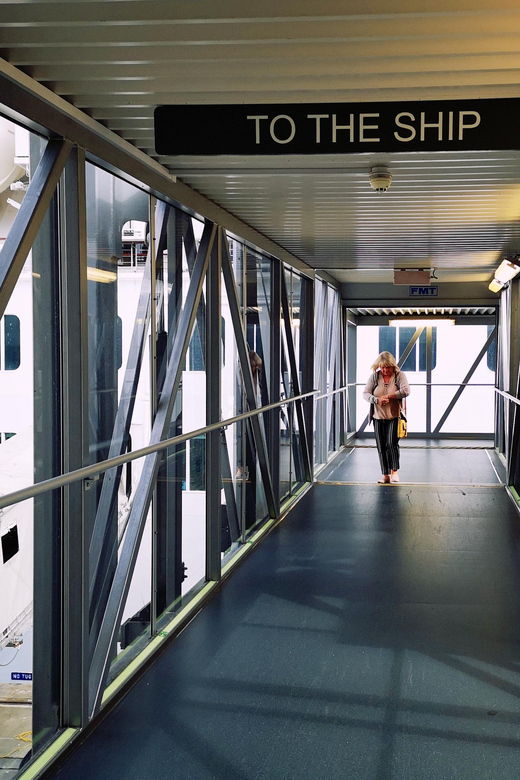 Transfer To/ From Dover Cruise Port to Central London - Service Overview