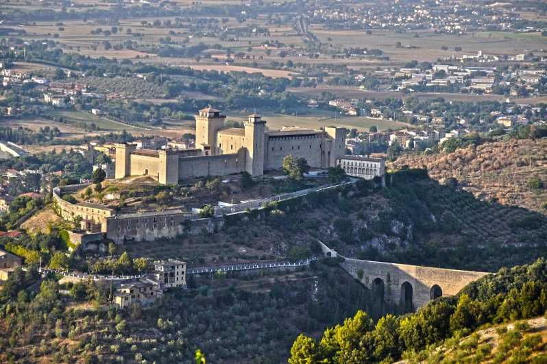 Transfer to Spoleto - Transfer Pricing Details