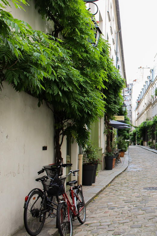 Treasure Hunt : the Prisoner of the Bastille - Overview of the Experience