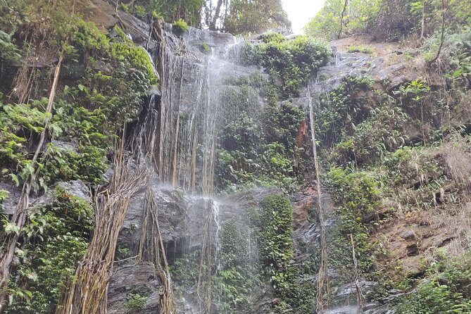 Trek the Kodachadri Summit