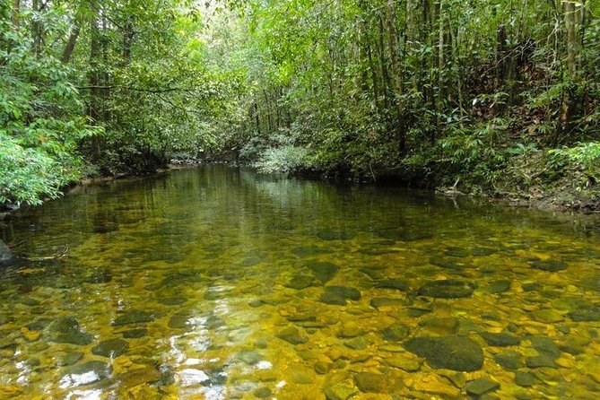 Trekking and Bird Watching in Kanneliya Rain Forest