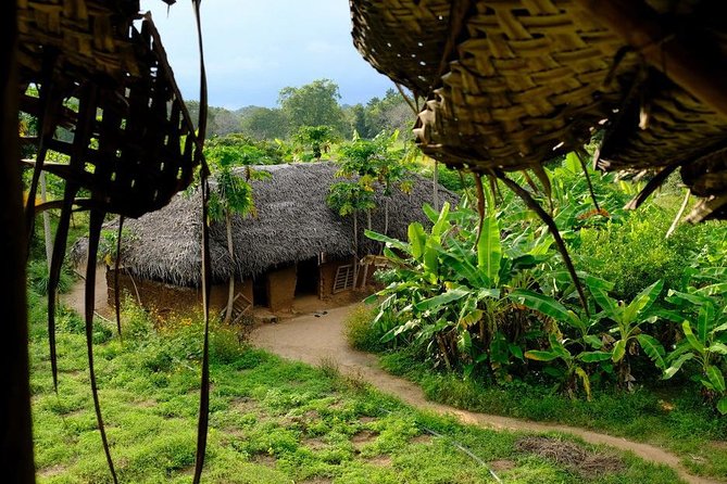 Trekking in Illukpelessa Village From Ella