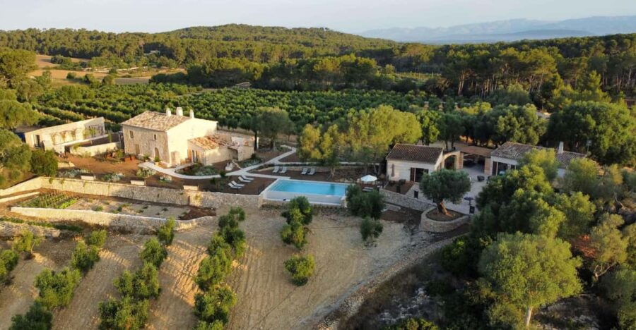 Treurer: Olive Oil Night. Gastronomic Experience