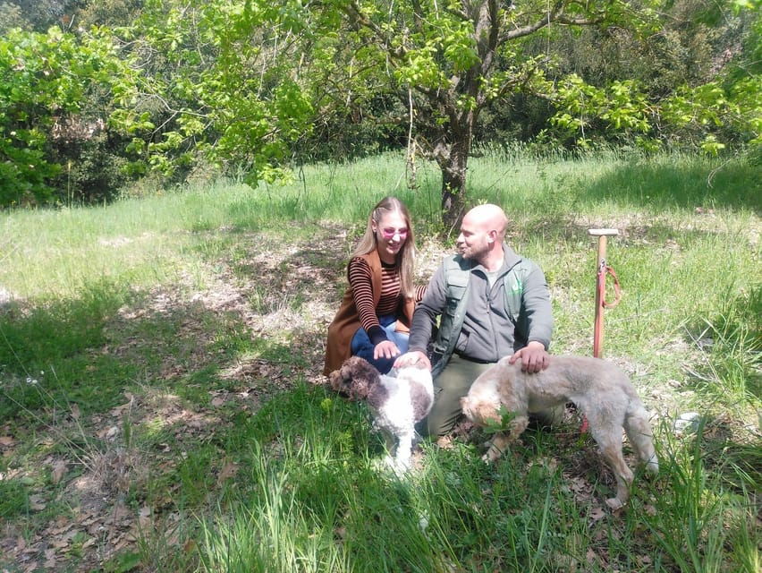 Truffle Experience - Experience Overview