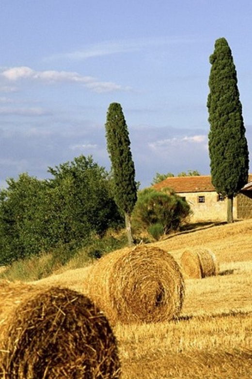 Truffle Hunting, Cooking Class & Truffle Lunch in Tuscany - Experience Overview