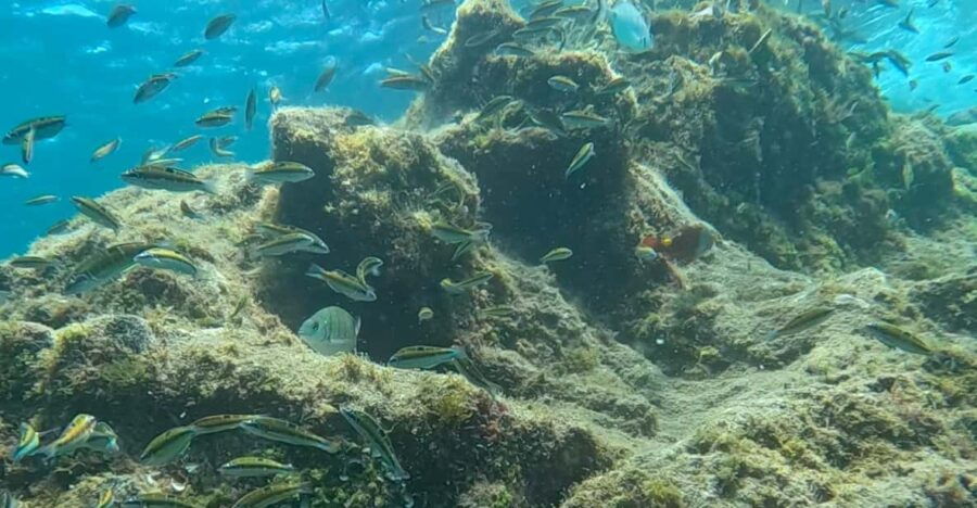 Try Dive and Have a Wonderful Experience in Lanzarote