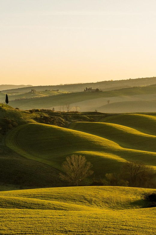 Tuscany in a Day: Pisa, San Gimignano and Siena Private Tour - Tour Overview and Pricing