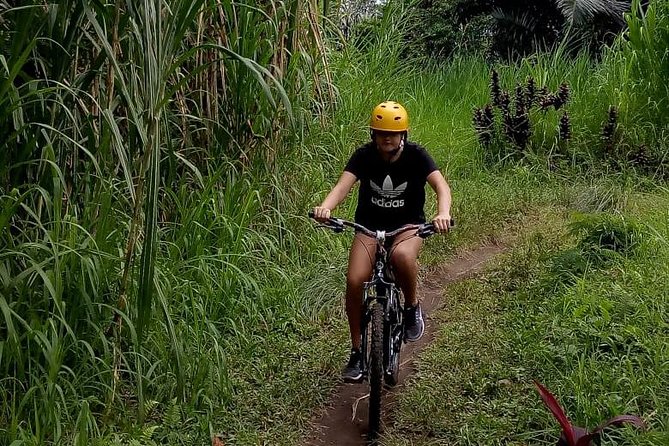 Ubud Cycling in Bali All Inclusive - Pickup Information