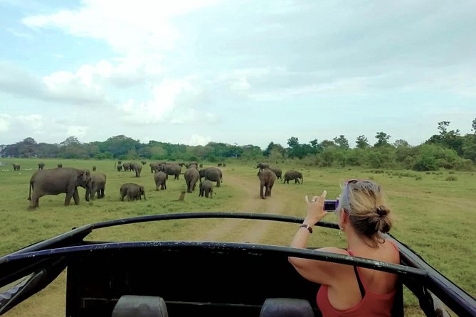 Udawalawe National Park Private Safari - Tour Overview