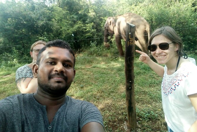 Udawalawe National Park Safari With Travaling Unawatuna To Ella - Safari Highlights