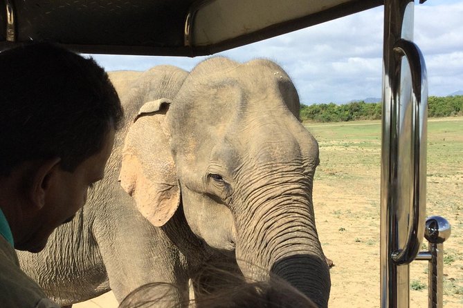 Udawalawe Private Safari Tour From Unawatuna - Tour Details
