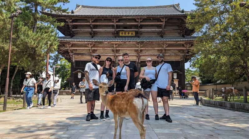 ULTIMATE NARA WALK: Temples, Knives, Crafts & Tea Ceremony - Tour Overview