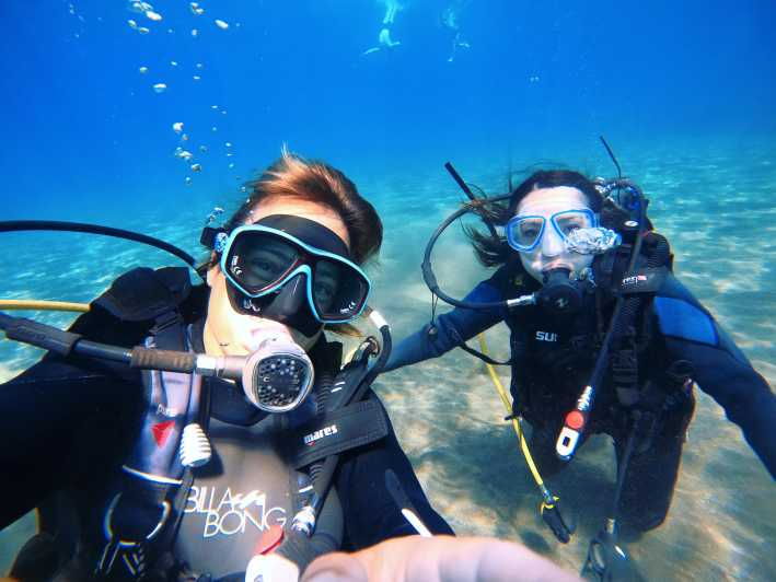 3 Best Scuba Diving Experiences In Arico