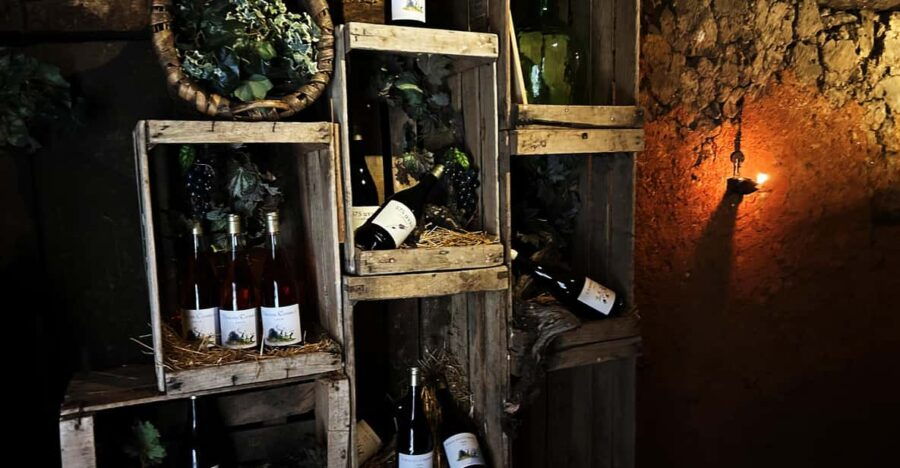 Unique Experience in a Medieval Winery With Wine Tasting