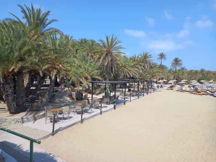 Vai Palm Beach Full Day Private Tour - Tour Overview and Pricing