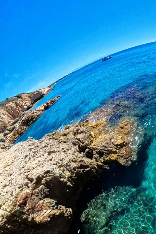 Vanilla- Wild Coasteering - Overview of Coasteering