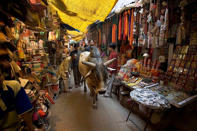 Varanasi: Spiritual Yoga Tour With Morning Boat Ride