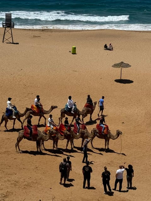 Vip Tangier Day Tour From the Spain Tarifa , - Tour Overview