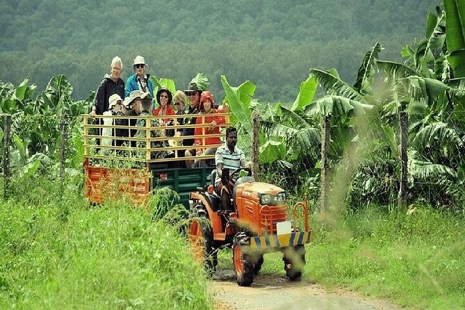 Visit to an Organic Farm in Cumbum Valley – Tamil Nadu