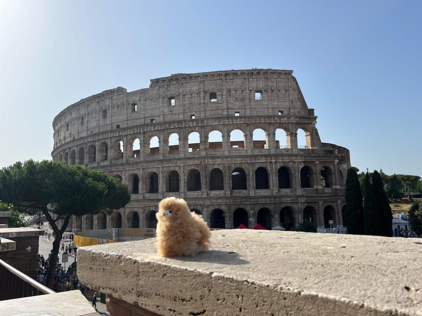 Walking City Tour Around Rome - Overview of the Tour