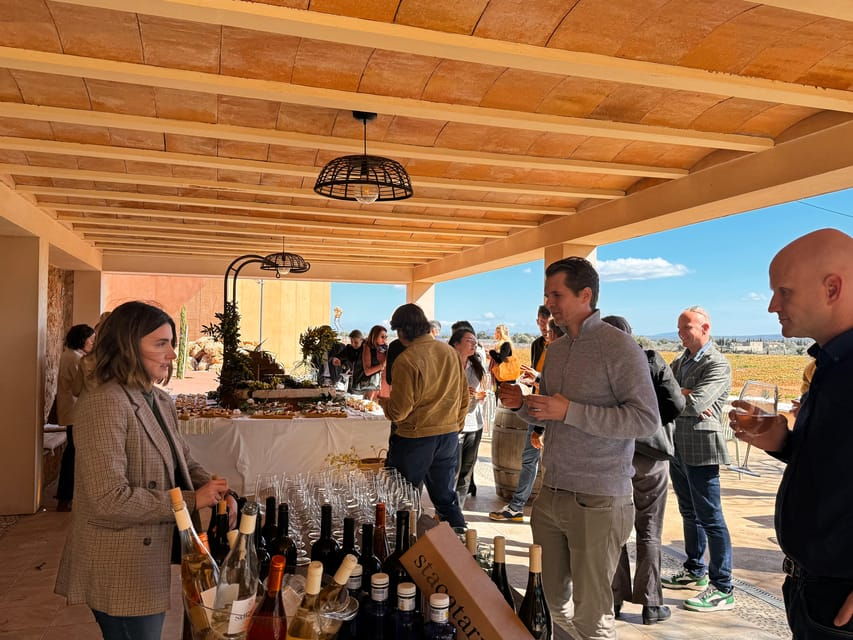 Weinsonntag in Mallorca Translates to “Wine Sunday in Mallorca.”
