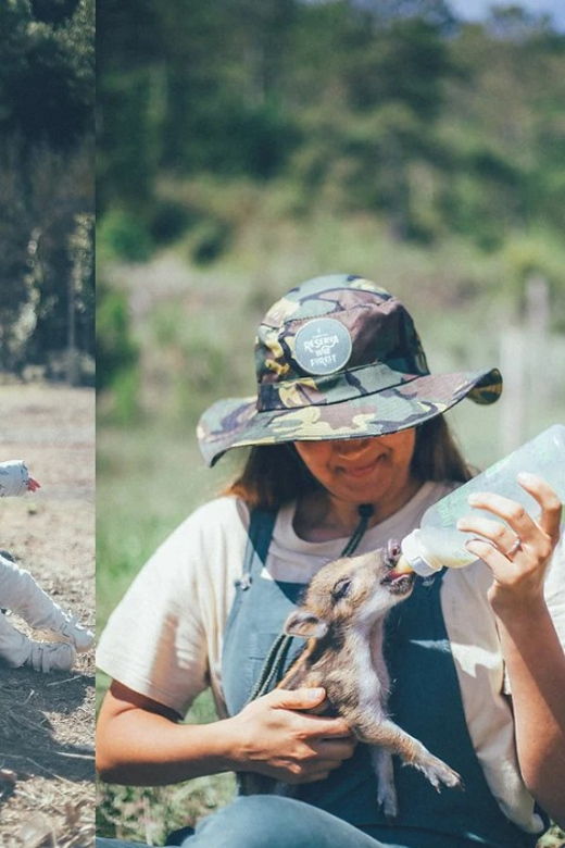 Wild Forest Reserve Foundation – Caretaker for a Day