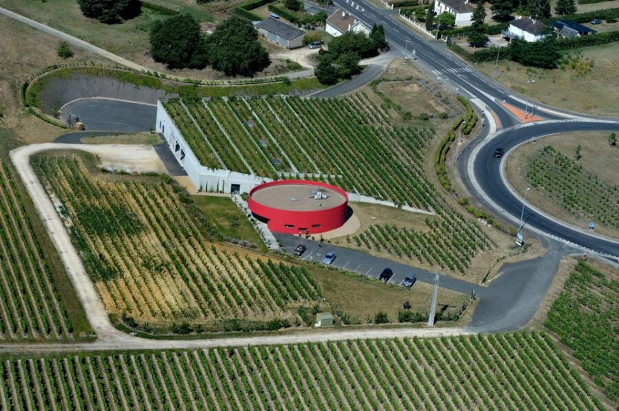 Wine and Cheese Experience