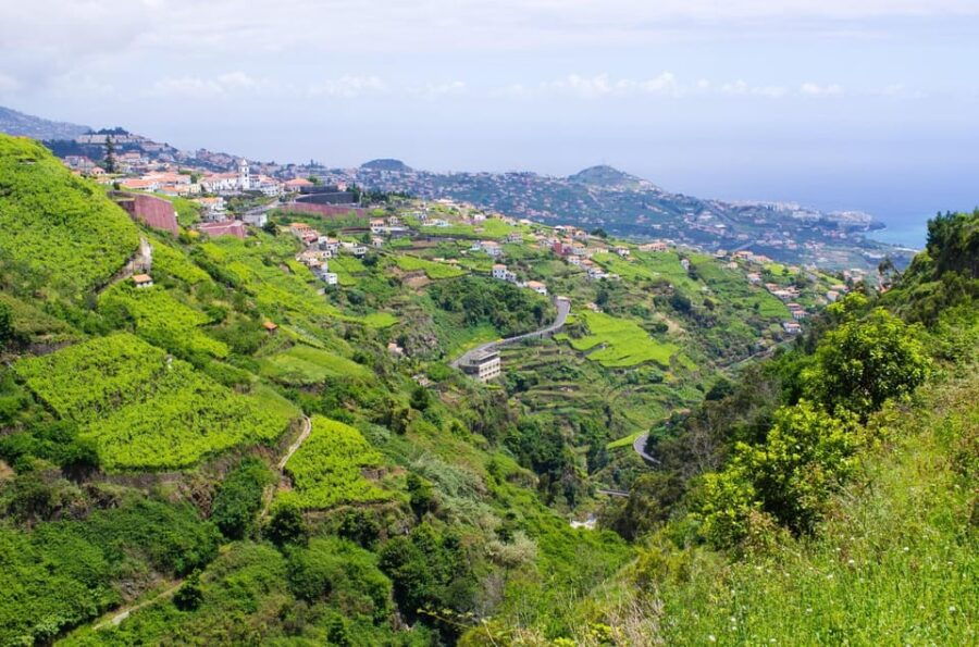 Wine Route Madeira Island Walk
