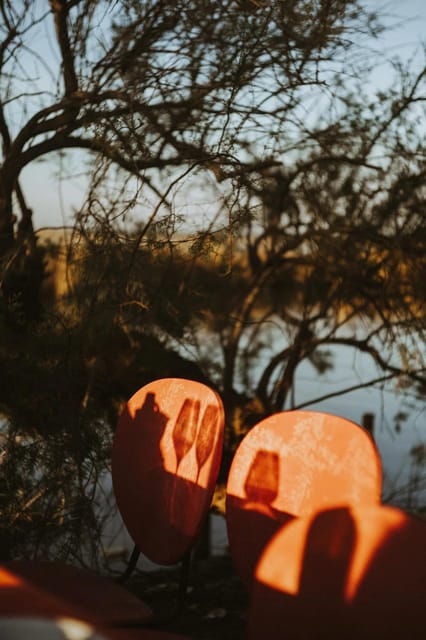 Wine Tasting in Languedoc - Overview of Wine Tasting