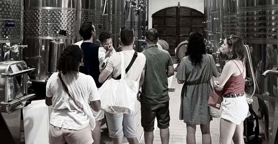 Wine Tasting in Patrimonio