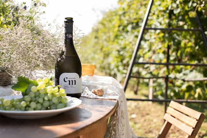 Wine Tasting: the Flavors of the “Prosecco Hills”