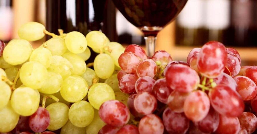 Wine Tour and Tasting- Small Group Tour - Overview of the Wine Tour