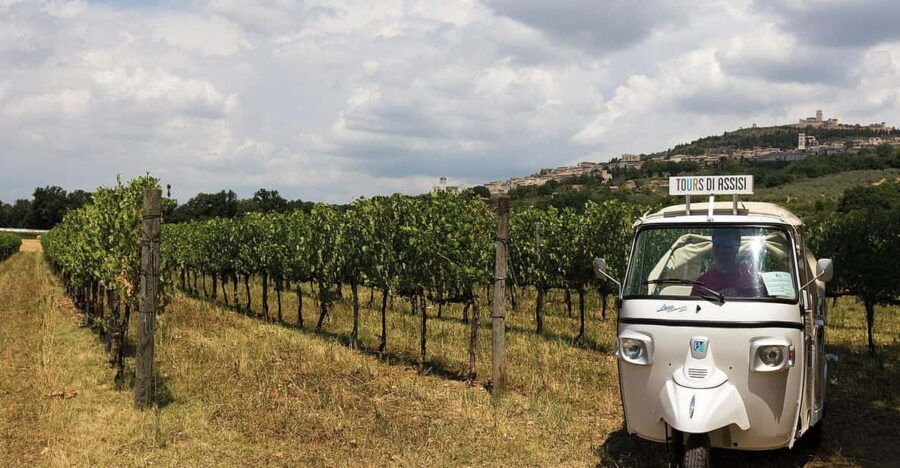 Wine Tour Spello in Tuk Tuk: Italian