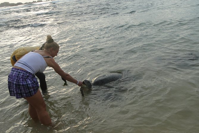 Yala Galle 2 Days Tour - Tour Details