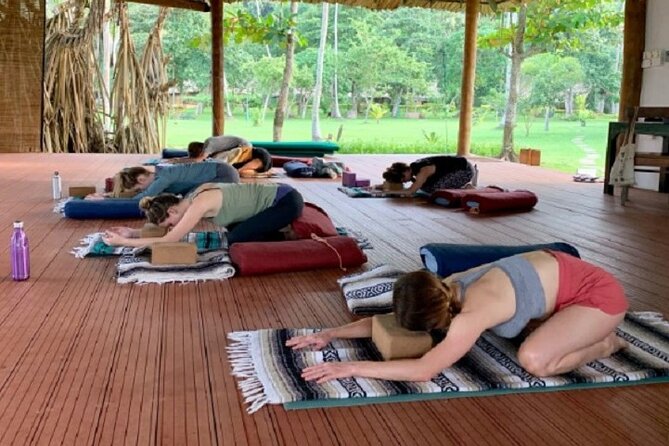 Yoga Class - Vinyasa Flow (Wellness Treatments Sri Lanka)