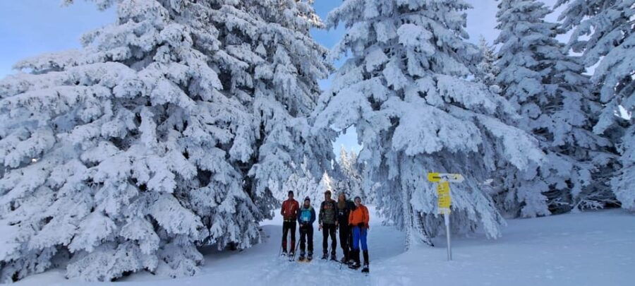 Zugspitze: Snow Shoe Tour and Instruction in Ehrwald