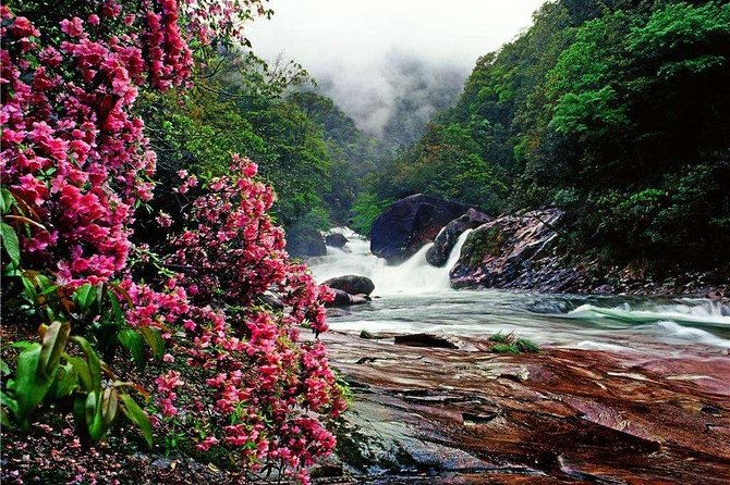 2-Day Mountain Wuyi Private Flexible Tour From Shanghai by Bullet Train - Tour Details