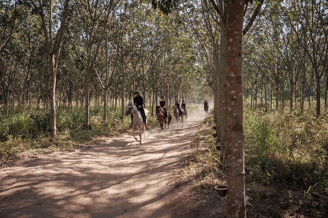 2 Hours Scenic Horse Trail Riding in Pattaya Thailand - Meeting Point and Start Time